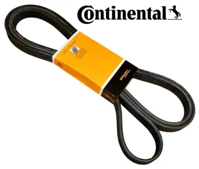 CONTINENTAL CONTITECH 8PK 1920 V Kayisi 51968200273