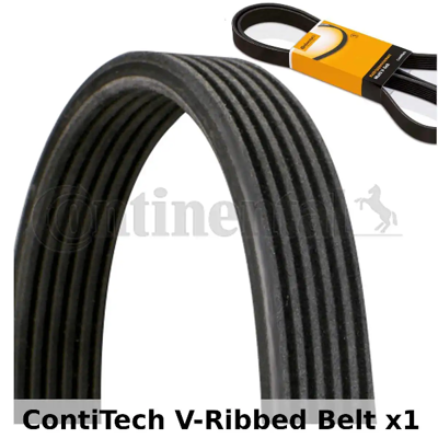 CONTINENTAL CONTITECH 6DPK 1215 V Kayısı 038903137S