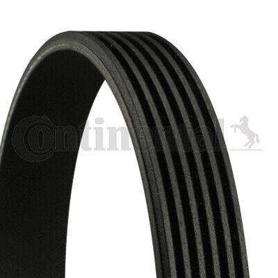 CONTINENTAL CONTITECH 6PK 1059ELAST V Kayısı 9M5Q6C301DA