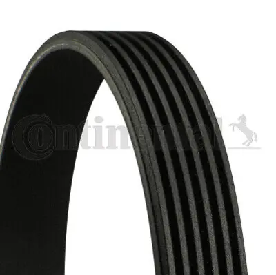 CONTINENTAL CONTITECH 4PK 867ELAST V Kayısı 64557809801