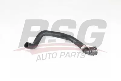 BSG 75-720-014 Kalorıfer Hortumu 8200548482 924000006N