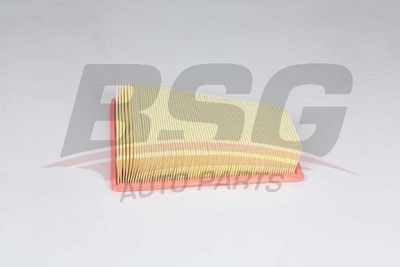 BSG 15-135-019 Hava Fıltresı 7582908 13717582908 7582907 13717582907