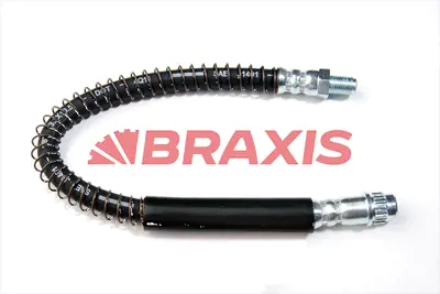 BRAXIS AH0081 On Fren Hortumu P206 