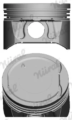BEHR MAHLE 0220602 Motor Pıston Segman 79,50mm (+1,00) Megane K4m 1,6 16v 7701474854