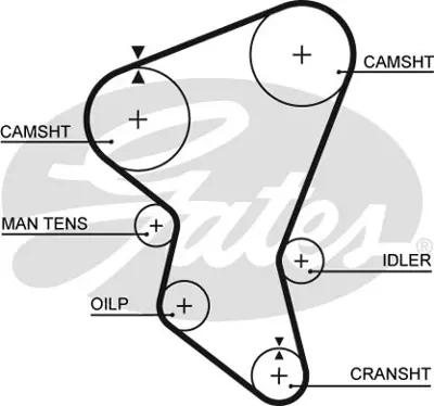 GATES 5171XS Trıger Kayısı (137x300) Isuzu Mıdı 2.0td 8v (90 92) 2.2d 8v (88 92) 2.4td 8v (92 96) Ct516 4295606
