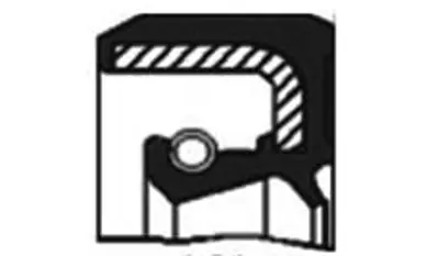 SKT 45779 Döner Mıl Radyal Keçesı 45x65x10 Carraro/New Holland/Jcb 