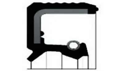 SKT 47674 Döner Mıl Radyal Keçesı (55x80x10) Jcb/Carraro/New Holland 