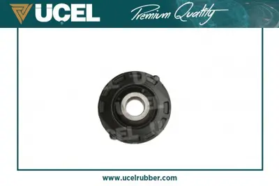 ÜÇEL 41582 Salıncak Burcu (Orta) C2 C3 C3 Iı C3 Plurıel P1007 (02 09) 