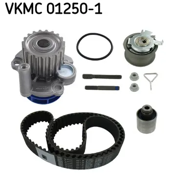 SKF VKMC 01250-1 Trıger Setı 038198119A