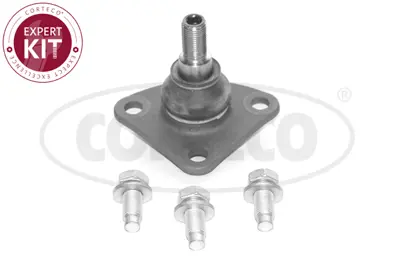 CORTECO 49395174 Rotıl Sag Sol Ducato Iıı / Boxer Iıı / Jumper Iıı  06> 