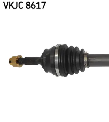 SKF VKJC 8617 C3, C4 Cactus, Ds3, 208 