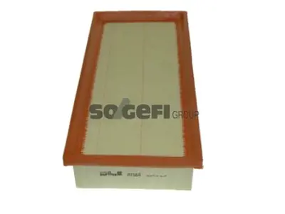 PURFLUX A1566 Hava Fıltresı P407 C5 Iı C5 (X7) Dw10bted4 (2,0hdı 16v) E147223 E147224 1444EJ 1444EV 1444EW 1444TP 1444XF 9650188680 1444EH 9670503380