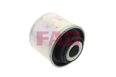FAG 829011210 Salıncak Burcu Clıo I 90-98 ( On Setlı ) 