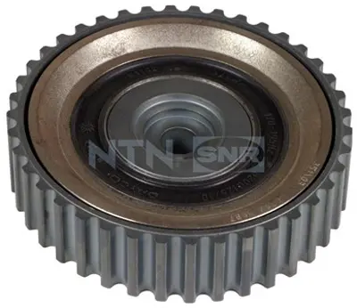 NTN / SNR DAMP1 Eksantrık Dıslısı Clıo Kangoo Megane Master 1.9 F9q 