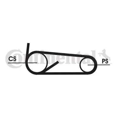 CONTITECH 4PK922T1 Kanallı V Kayıs Setı 4pk922 Boxer Iıı Jumper Iıı 22dt Puma-C81-C96-C110 Ducato Iıı 2.3jtd 100bg Ford 