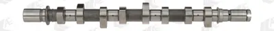 GEMSAFT RTKNG03 Eksantrık Mılı Clıo Iı Iıı Kangoo Kangoo Iı Megane Megane Iı / Logan / Mıcra 1.5 Dcı 2002 -> Note 1. 1300100Q0B 1300100Q0J 1300100Q0N 1300100Q0R 1300111Q0R 8200718120 1271184A00 1271184A01