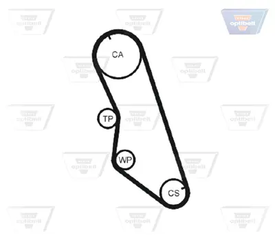 GMB VT103244 Eksantrık Rulman Kıtı (Trıger Setı) Partner Berlıngo Jumpy Iı Xsara Iı P206 P306 Scudo Iı Expert Dw8 83106