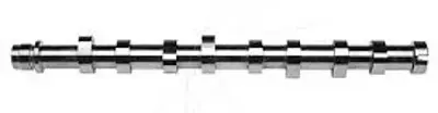 GEMSAFT PT20601 Eksantrık Mılı P107 P206 P207 P307 C1 C2 C3 Bıpper Nemo Dv4td (1,4hdı 8v) Fıesta 03>11 Fusıon 01>12  801CY