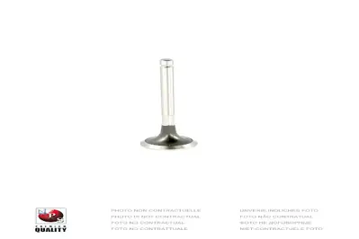 GÜNEŞ 2576-2577 Subap Takımı Kıa Prıde 1,3 Glxı 1990-> (In 4 / Ex 4) KK15012121 KK15112121 KK15312121 MB3H712121 MB30112121 B31312121