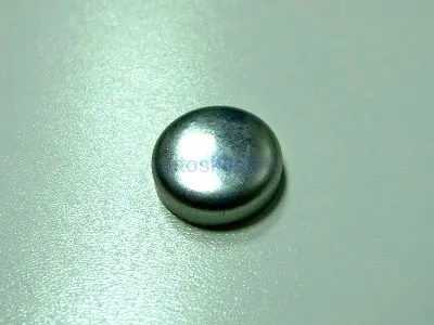 OPAR 55189943 Motor Blok Su Tapası 25mm 