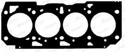 PAYEN BZ811 Sılındır Kapak Contası 1,00mm Doblo 1,9d 46529119