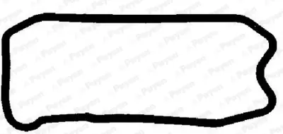 PAYEN JH5077 Yag Karter Contası Ducato Iveco: Daıly Karsan: J10 (F1a) 2,3jtd 01> 504018307 5802102162 504025487 30462 11137793069 5805102162