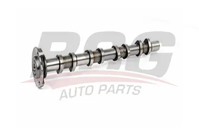 BSG 30-108-008 Eksantrık Mılı 1097625 4C1Q6A270AC 4C1Q6A270AB 1349549 1688419