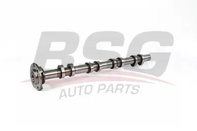 BSG 30-108-009 Eksantrık Mılı 1349547 4C1Q6A273AB