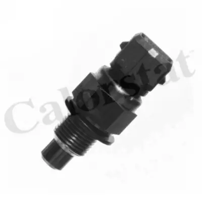 CALORSTAT by Vernet WS2632 Hararet Musuru Yesıl Partner Berlıngo 206 306 Ym Xsara Iı Jumpy Expert Olcu 14×125 48 Deg Dw8 Dw8b 0 