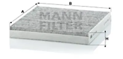 POLBEK 1151 Polen Fıltresı Laguna Iı (Tum Modeller) / (Karbonlu) 7701049749 272779759R 7701048749 7701048748 8671017025 7701206528 4A0091800 4A0819430A 4B0091800 4B0819439