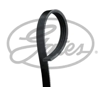 GATES 4PK922SF Dıreksıyon Pompa Kayışı 4pk922 Boxer Iıı Jumper Iıı 22dt Puma-C81-C96-C110 Ducato Iıı 2.3jtd 100bg F 6C1Q6A228AB 6C1Q19A216AB 6C1Q19A216AA 2110260 1731729 1731709 1723603 1496244 1465191 1465190