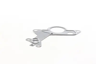 BSG 90-116-017 Vakum Pompa Contası 038145215