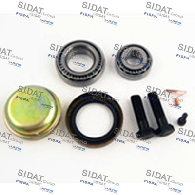SKF VKBC 53091 EX Porya Rulmanı Ön 40210A0100 40215A0100 11055109 11055119 1604286 328018 330012 7413406 7413409 8824111