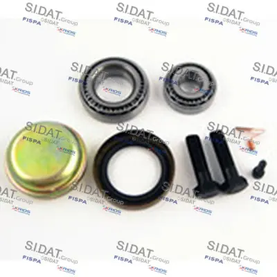 SKF VKBC 53091 EX Porya Rulmanı Ön 40210A0100 40215A0100 11055109 11055119 1604286 328018 330012 7413406 7413409 8824111