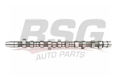 BSG 90-108-003 Eksantrık Mılı 074109101B