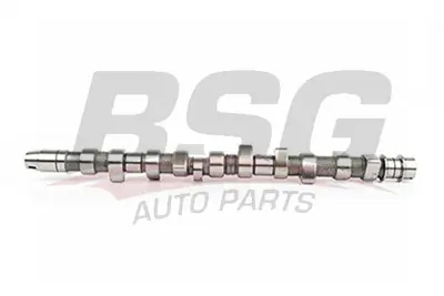 BSG 90-108-004 Eksantrık Mılı 074109101J