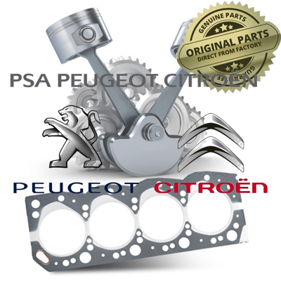 PSA 4405.42 Kalıptespcıv 440542