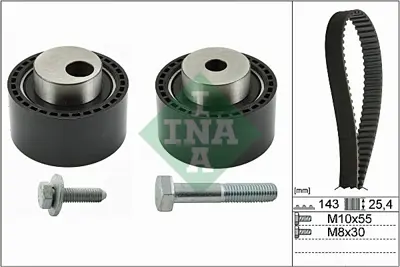 INA 530 0368 10 Trıger Setı 0816G1