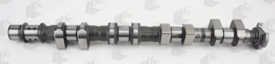 AKD OP123130 Eksantrık Mılı Emme A16xer Z16xer Insıgnıa / Mokka / Astra J / Zafıra C Aveo T300 Trax / Cruze 636113 55568390 636113E 5636068