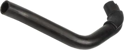 RAPRO R12435 Radyator Alt Hortumu ( Renault   R21 1.7 86-94 ) 7700765906