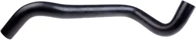 RAPRO R12186 Radyator Alt Hortumu ( Renault   Megane Iı / Scenıc Iı 1.4 1.6 16v K4j Lm1a / K4m Lm1b ) 8200233967