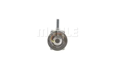 BEHR MAHLE AVE 100 000P Klıma Valfı (Expansıon) W203 00>07 W220 98>05 R170 01>04 W463 01> Vıto W639 03> 1718300184 A2208300384 A1718300184 2208300384 A6398300384 A1698300684 A1698300384 A0048304084 A0038302384 6398300384