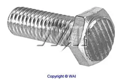 WAI 66-9135 Mars Otomatıgı Bmw 320 Cı Cabrıo 12417785716 XXXX7515393 7515393 7785716 1427080 12411427080 12417515393 12414354823 12411712973 12411438696