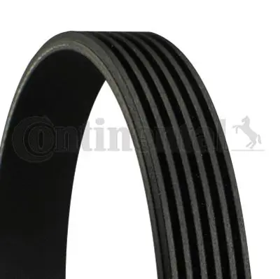 CONTINENTAL CONTITECH 6PK1075 V Kayışı   6pk1070 5750A2 5750J3 96152085 5750TH 46414859 60662969 60815412 1119970092 A1119970092 MD187463