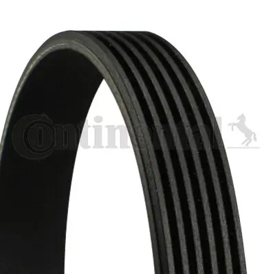 CONTINENTAL CONTITECH 6PK1510 Kanallı V Kayışı Elantra Iıı 2.0 Crdi - Santa Fe 2 2521227360 ADG09624 2521227010 77002220754 2521227000 2521227002 2521227001 2521227400 2521237000 2521227350
