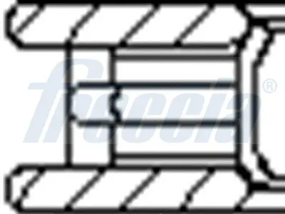 RIKEN 43490050 Segman  050 79,50 Mm Z16xep Z16xer Astra Vectra In 630210 93190365 630211 93190366 630117 630167 630168 93174489 93183581 93183582
