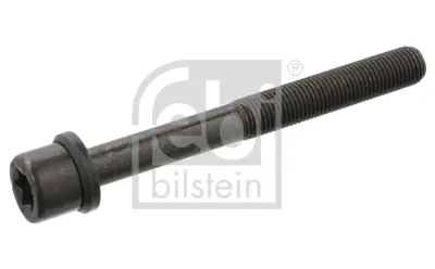 FEBI BILSTEIN 06543 Silindir Kapak Saplaması 607256 90466480 S4501060 TR4501060