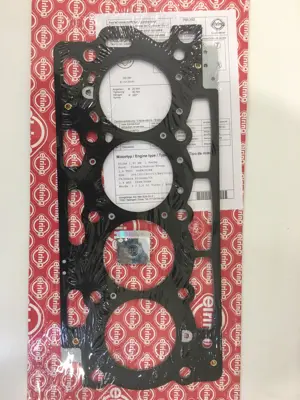 ELRING 569.802 Silindir Kapak Contası 3M5Q6051CA