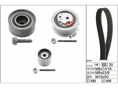 INA 530 0405 10 Triger Seti 03G198119