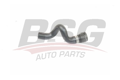 BSG 65-720-181 Kalorıfer Hortumu Gırıs 13191196 13191193 6818631 6818625 GM13191193
